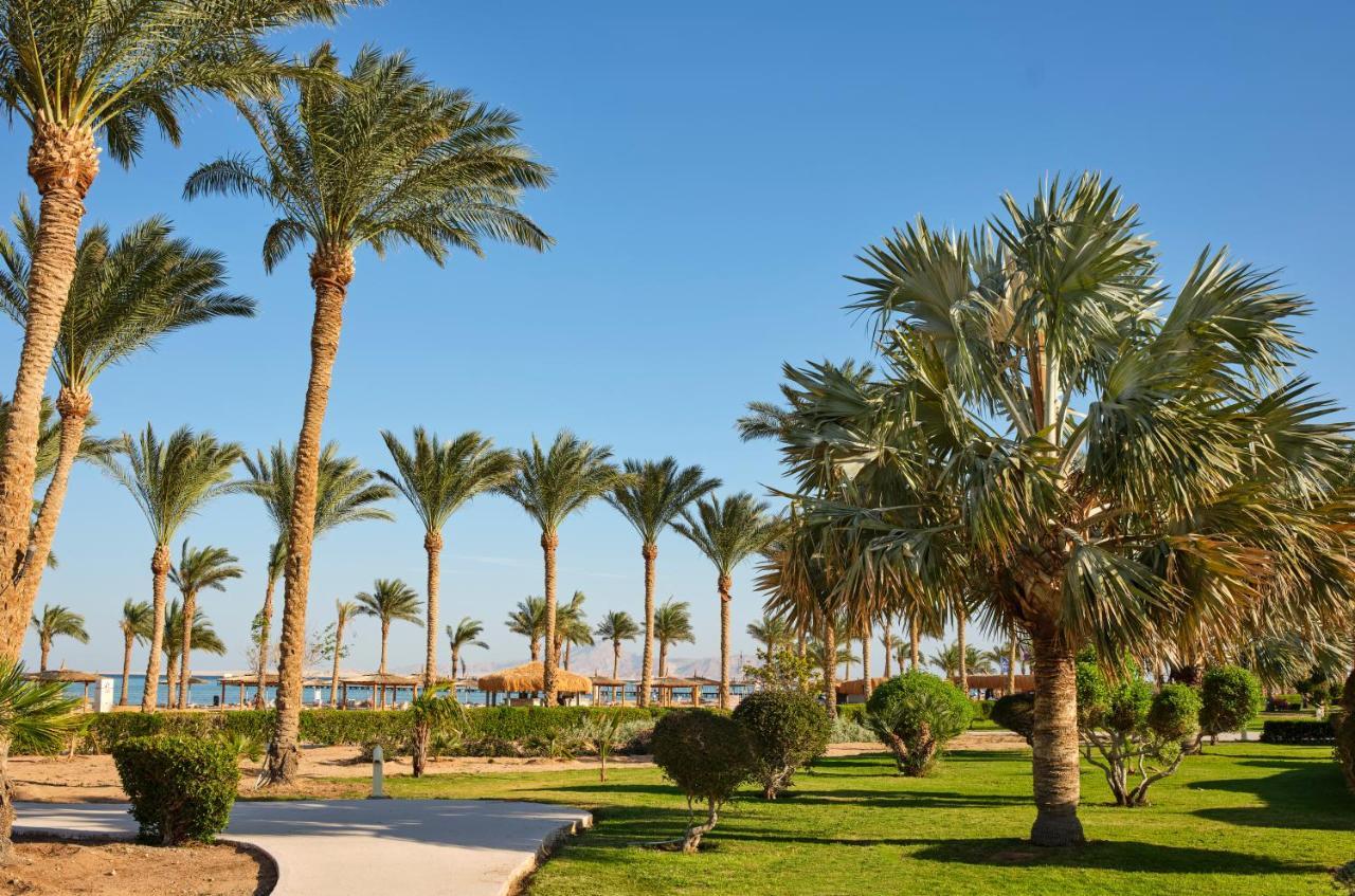 Coral Sea Waterworld Sharm El Sheikh Hotel Luaran gambar